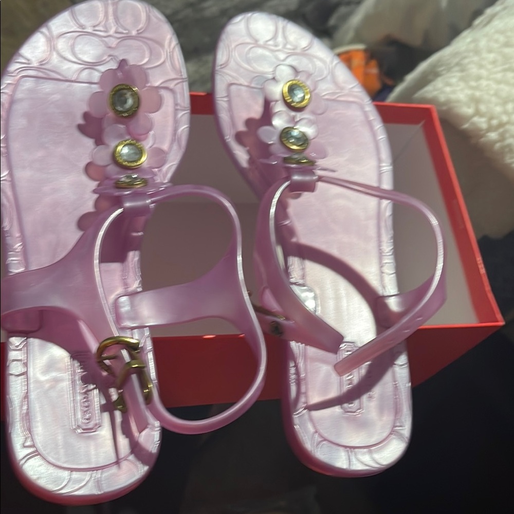 Coach Pink Floral Sandals